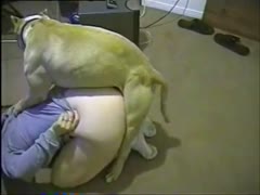 Doggy fucks round and wide cookie
